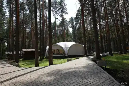 ДухЛес - 83