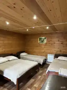 Три медведя - 20