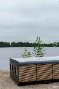 Jarvi - 65