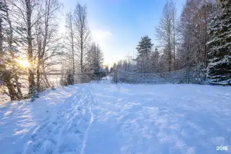 Рассвет - 6