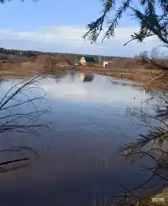 Медвежья Берлога - 6