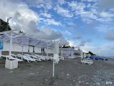Анжелика Альбатрос - 29