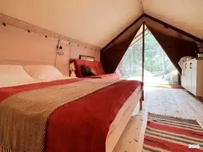 Лисичкин берег - 3