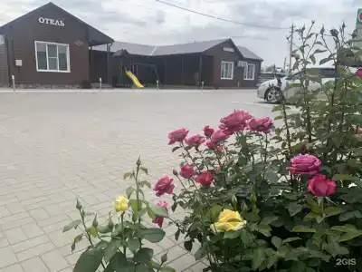 Олимп - 19