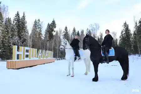 Нешалаши - 63