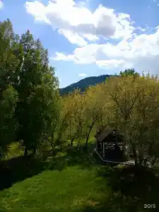 Березки - 18