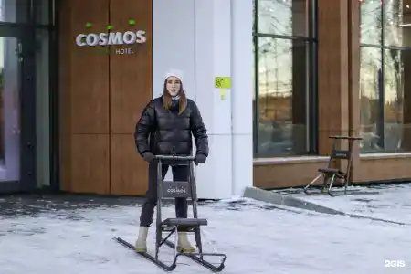 Cosmos Segezha - 83
