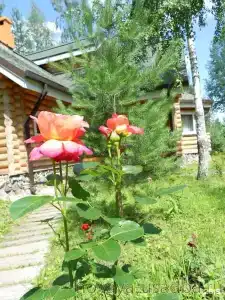 Вилла Новая Усадьба - 0