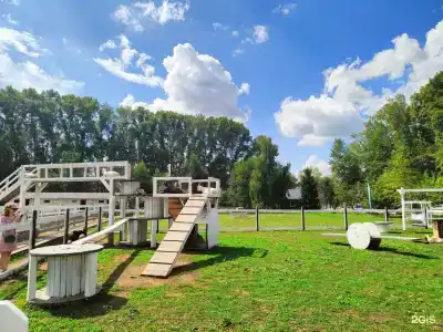 Пара Альпак - 18