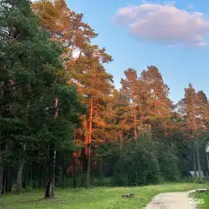 Липин Бор - 9