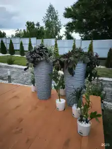 Тихий Слон - 32