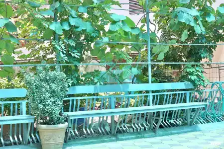 Ирис - 30
