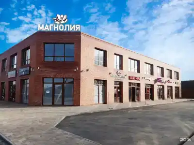 Магнолия - 4