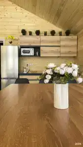 Зелёный бор - 3