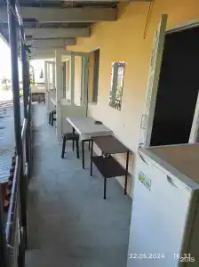 Под пальмой - 13
