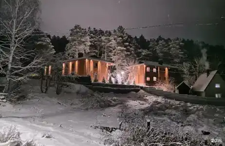 Лес - 93