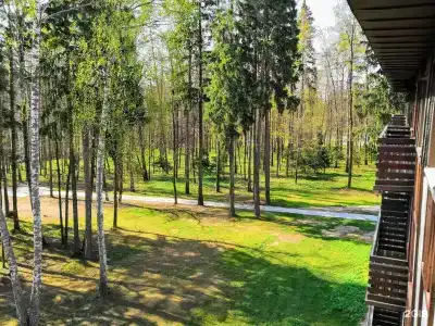 Розендорф - 33