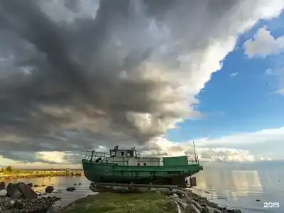 Кедр Грасс Белое Море - 28