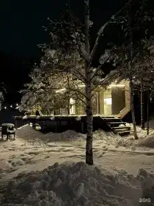 Лесной - 4