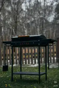 Бочка Алтай - 44