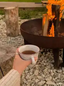 а Ля Рус - 42
