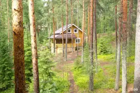 Журавушка - 49