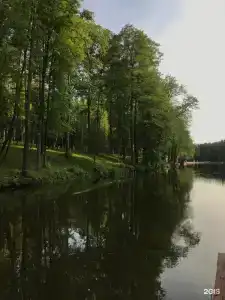 Розендорф - 50