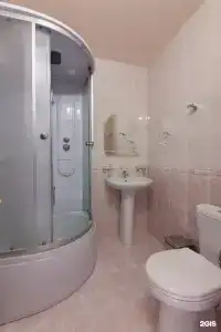 Тополь - 13