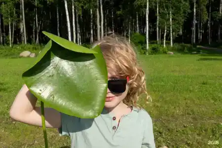 Журавлевские дачи - 43