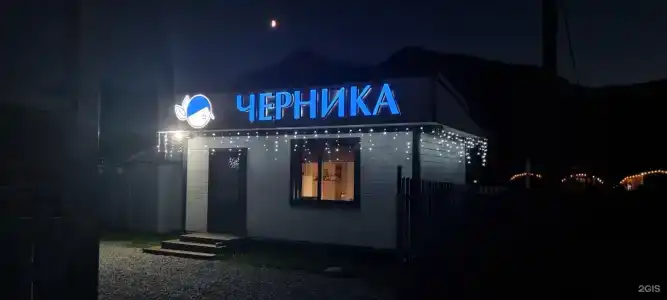 Черника - 45