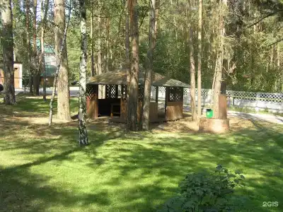 Русский бор - 38