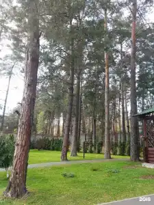 Русская охота - 110