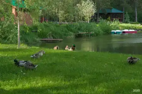 Русская охота - 62