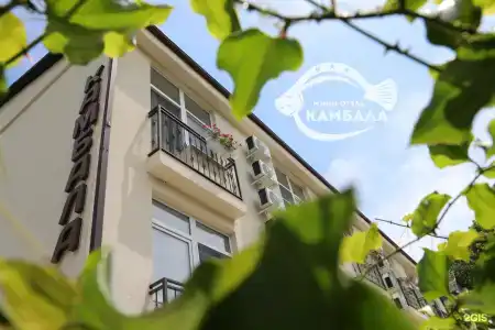 Камбала - 30