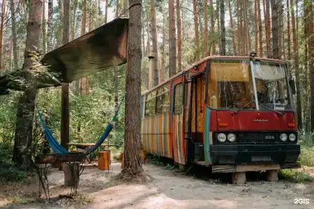 Гнездо - 0