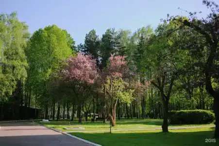 Клязьма - 39