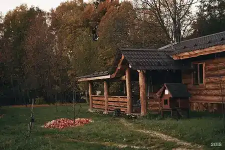 Дубки - 96