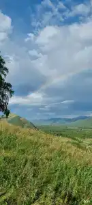 Сосновый берег - 4