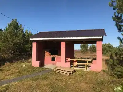 Стриж - 11