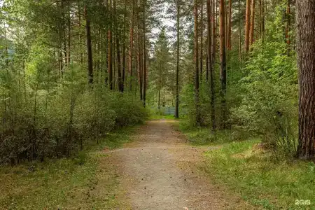 Рафт-Премьер - 29
