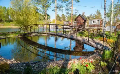 Соляной остров - 1