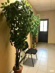 Зеленый Бор - 13