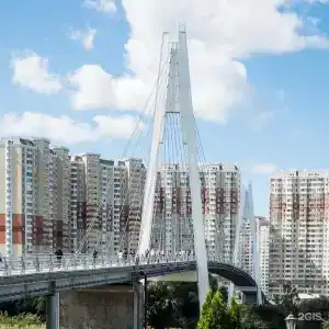THE KUBZ Capsule - 26