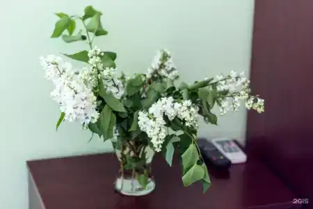Солнечная - 13