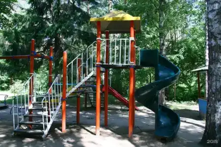 Сосны - 8