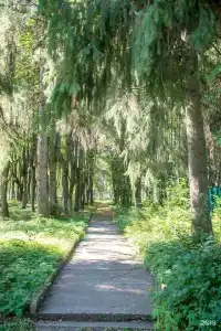 Серебряный век - 38