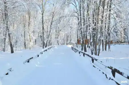 Серебряный век - 35