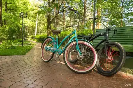 Сосны - 7