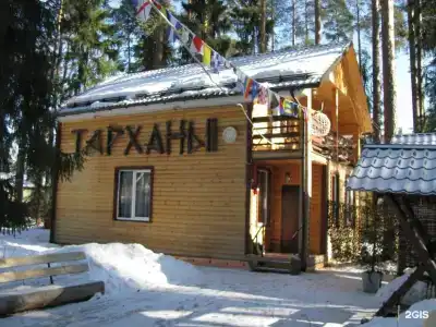 Вырицкие Тарханы - 19