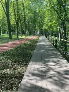 Садко - 33